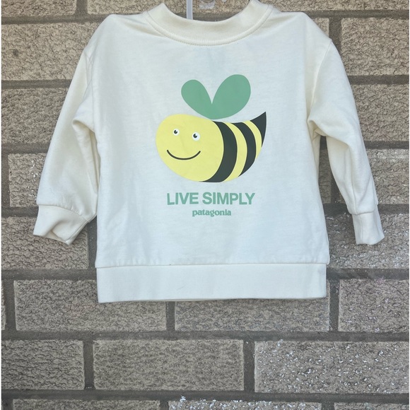 Patagonia Other - Patagonia Bumblebee Sweater. Size 18 Months. Babies